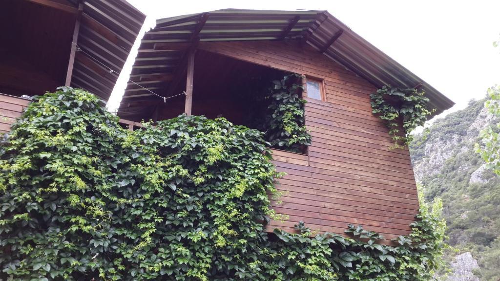 Olympos Camlik Pension Exterior foto